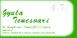 gyula temesvari business card